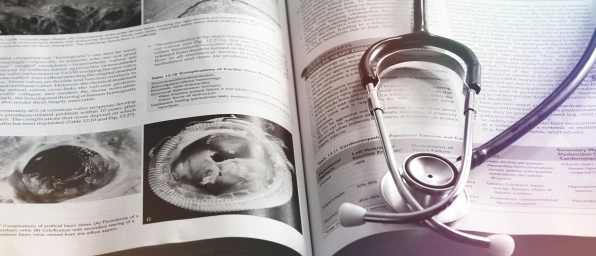IgA-Nephropathie (IgAN): Ein Überblick