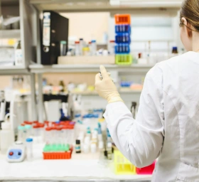 Studie untersucht Medikament für Menschen mit FSGS und APOL1-Mutation