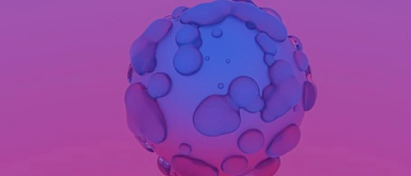 Die Rolle des Komplementsystems bei Nierenkrankheiten